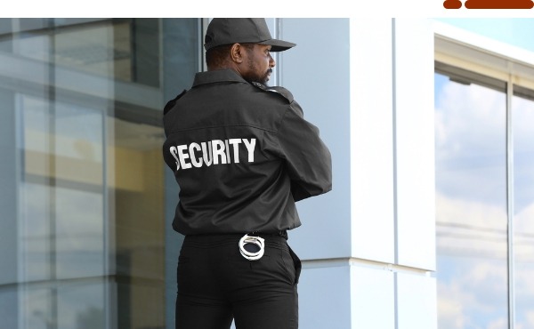 Regulating Practice of Private Security Services